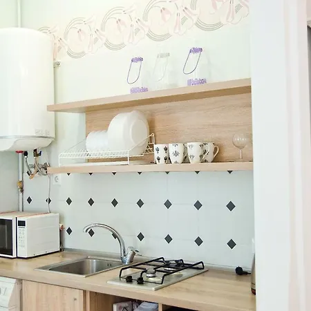 Deluxe In The City Center Lviv